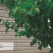 Сайдинг Ю-Пласт TIMBERBLOCK Пихта (Тимберблок) Cахалинская купить в Новом Уренгое