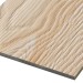 Фиброцементные панели FCSPRO Decor Wood Лиственница купить в Новом Уренгое