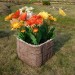 Цветник КАНЬОН купить в Новом Уренгое