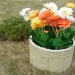 Цветник КАНЬОН купить в Новом Уренгое