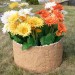 Цветник КАНЬОН купить в Новом Уренгое