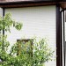Фасадная панель Grand Line Сланец бежевый купить в Новом Уренгое